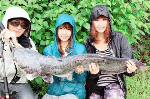 9月10日 宇治川 クランクベイトで秋のビワコオオナマズ釣り スーパーフィッシング グランダー結城