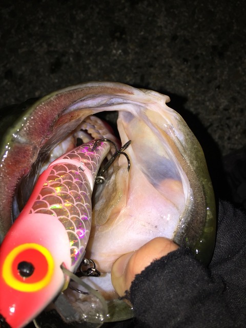 2016-01-05-03-35-37