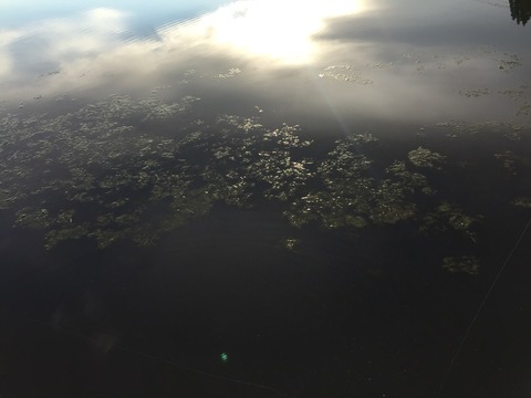 2015-11-12-07-43-35