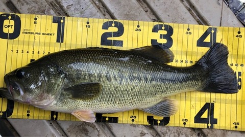 FullSizeRender