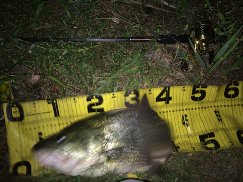2016-09-16-05-10-51