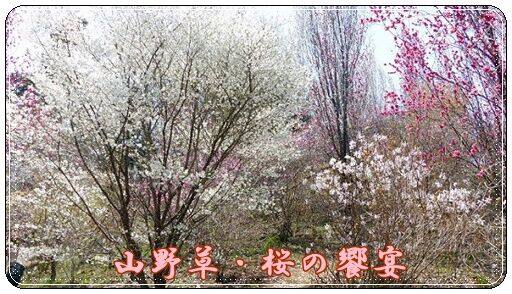 conv0292