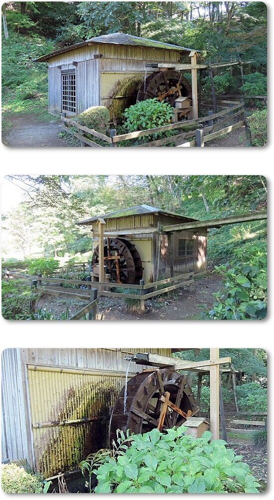 3水車小屋