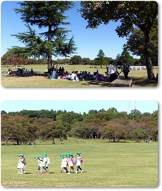 イメージ 11