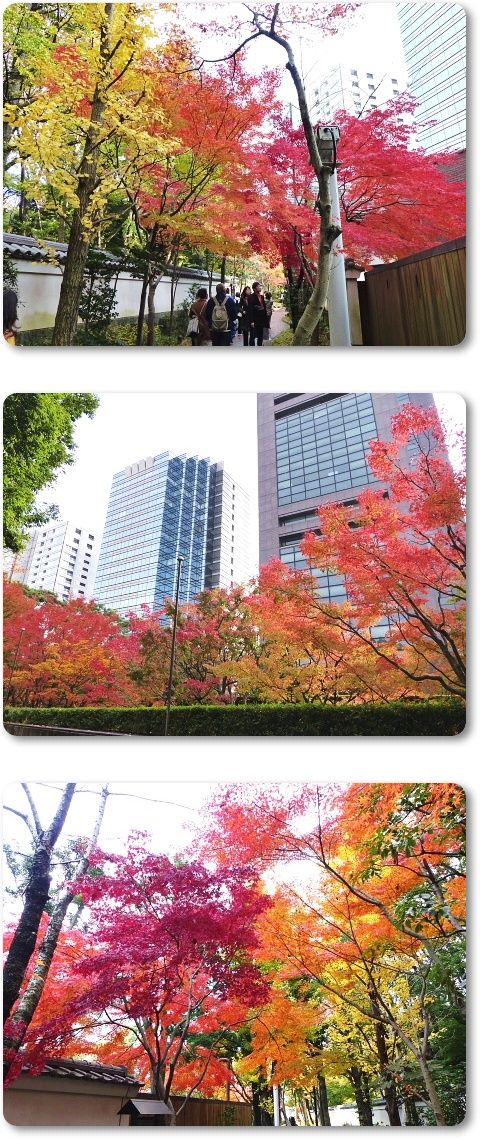 イメージ 7