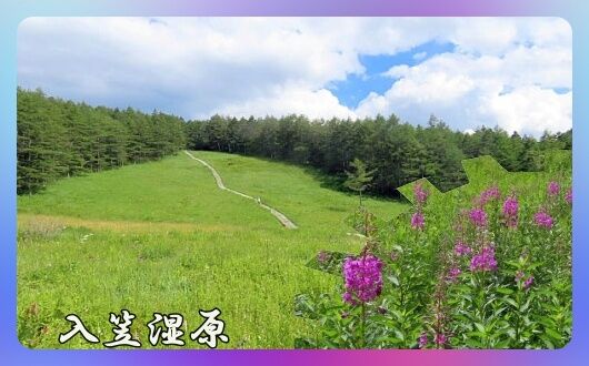 0題字