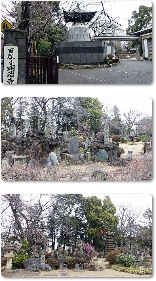 イメージ 6