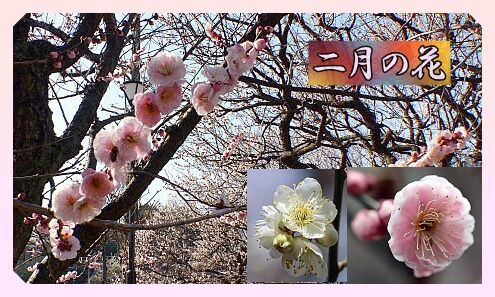 conv0028
