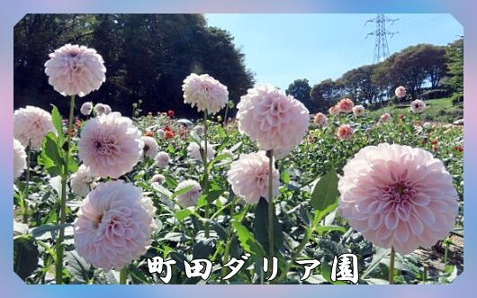 0題字
