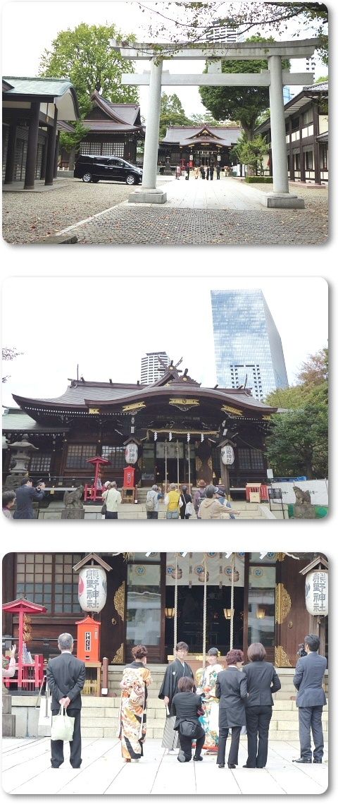 イメージ 10