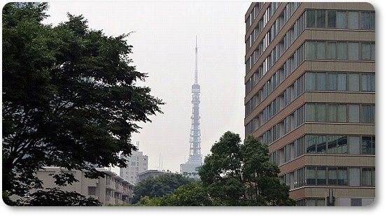 イメージ 12