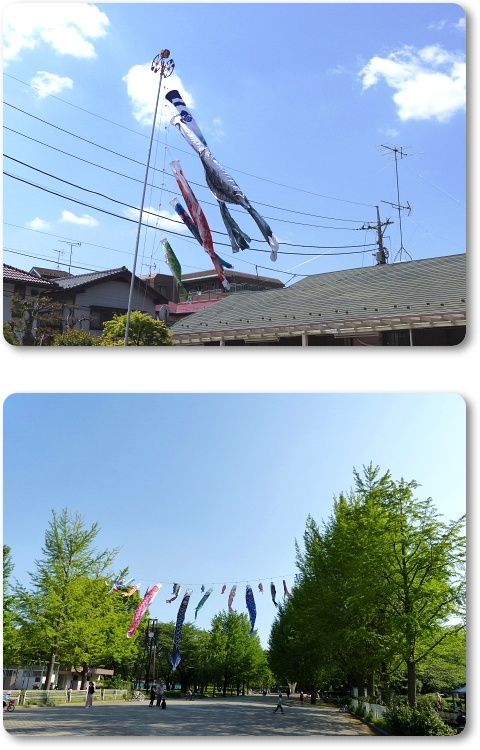 イメージ 11