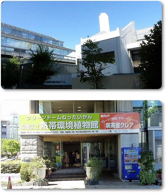 板橋区 熱帯環境植物館 Youko2のブログ