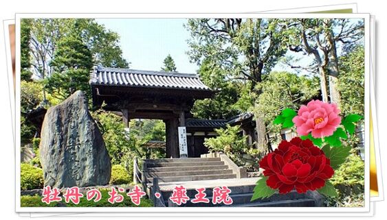 conv0206