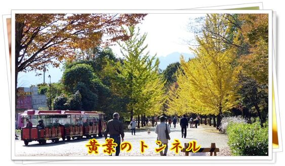 conv0090