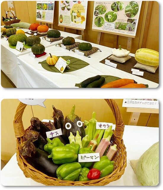 カボチャ展