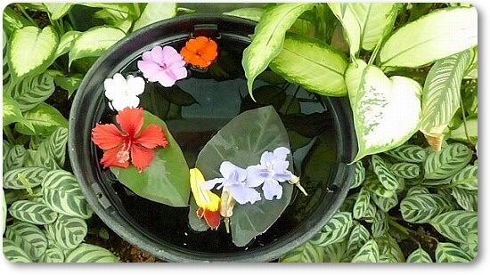 10水花