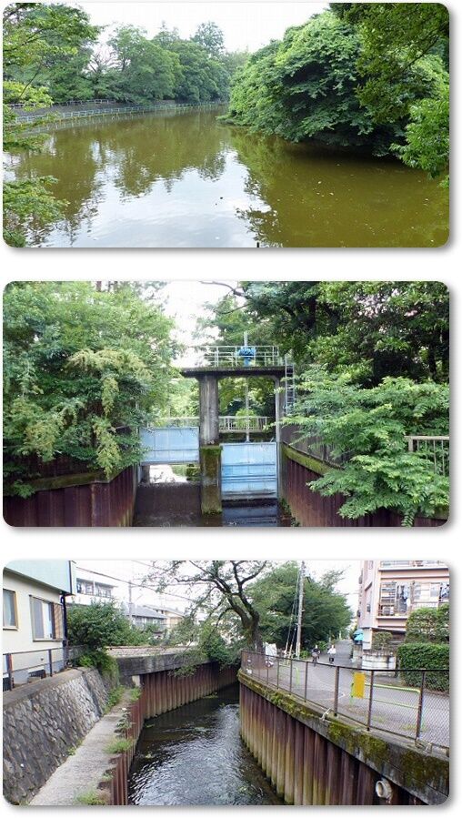 調整池