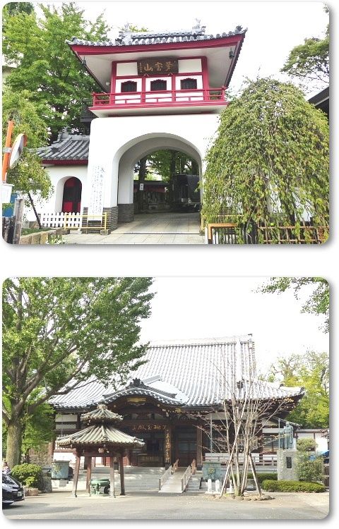 イメージ 6