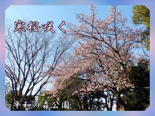 題字