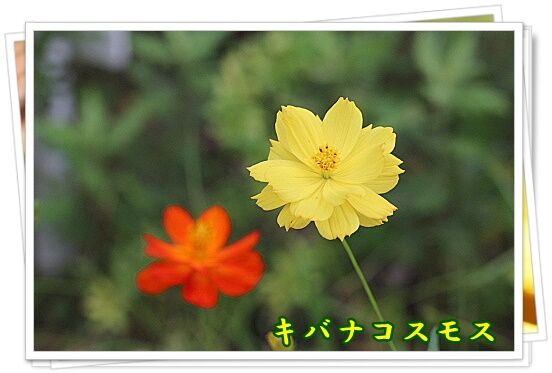conv0038