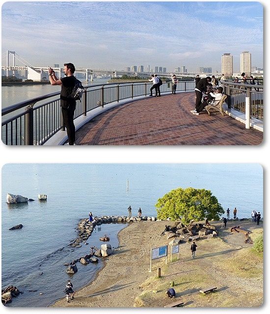 海浜公園