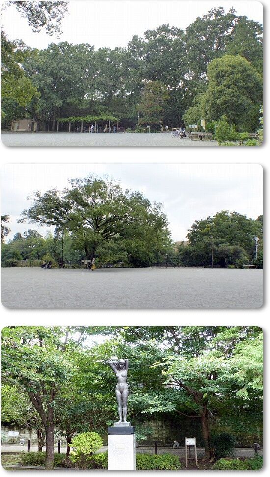 広場