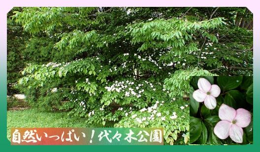 題字
