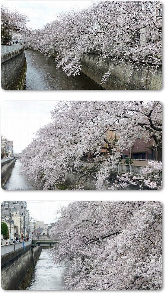 2石神井川