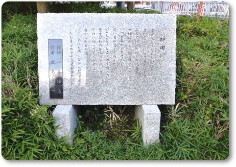 イメージ 14