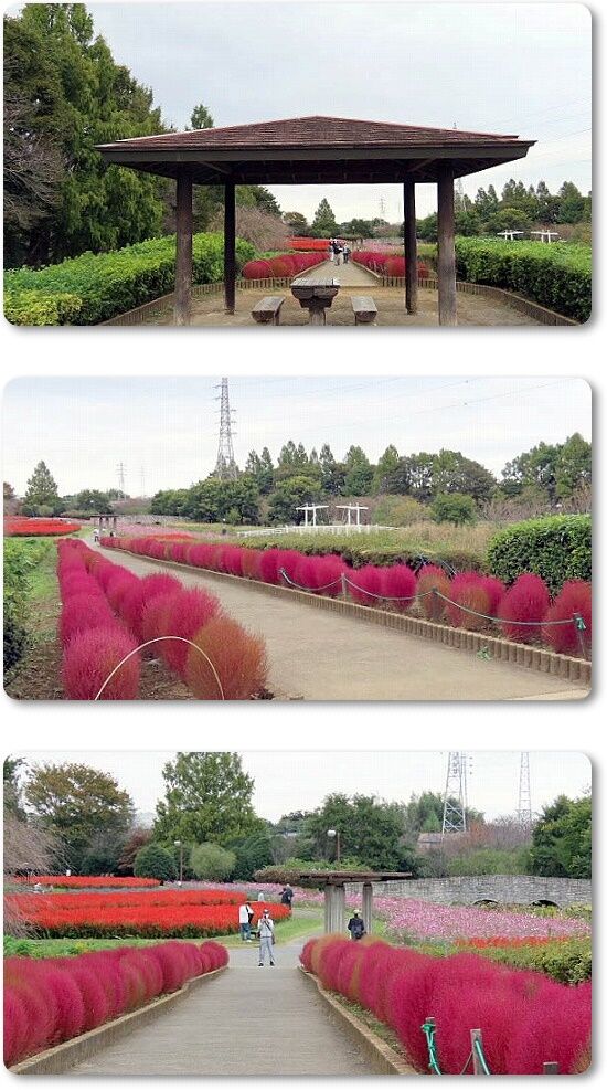4東屋から