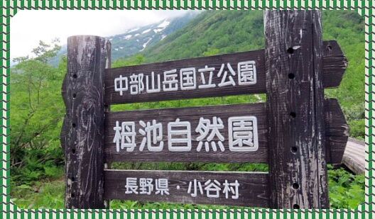0題字