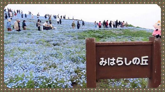 0題字