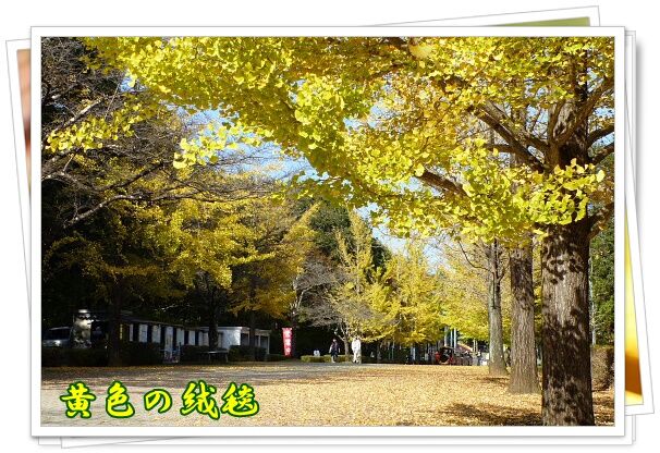 conv0055