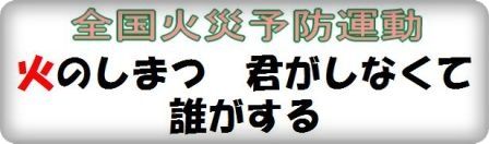 イメージ 7