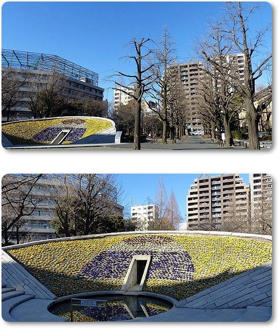 イメージ 12