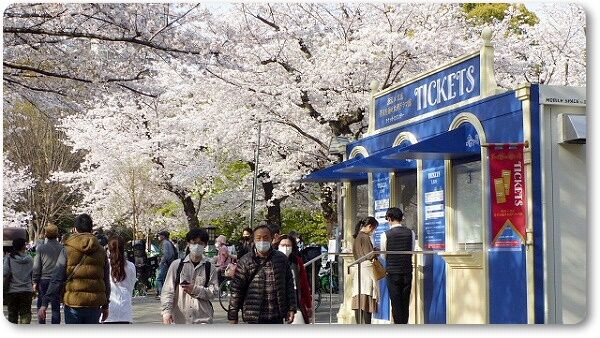 チケット売り場