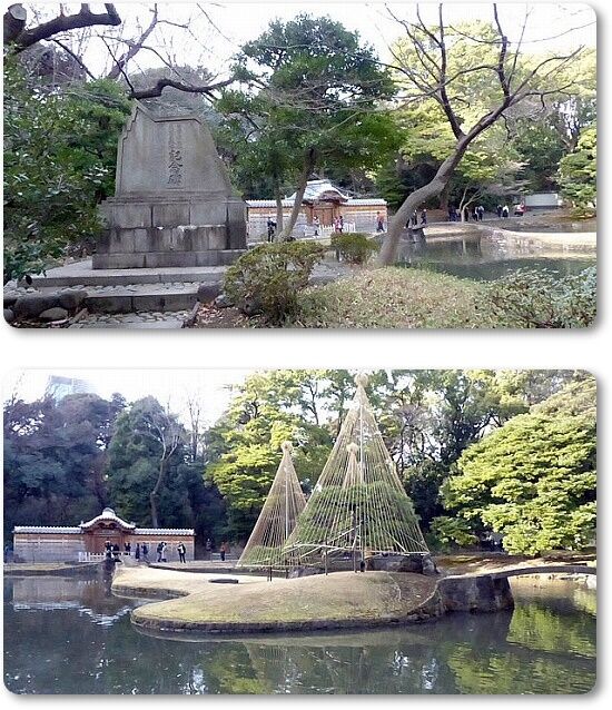 小石川後楽園・内庭 : youko2のブログ