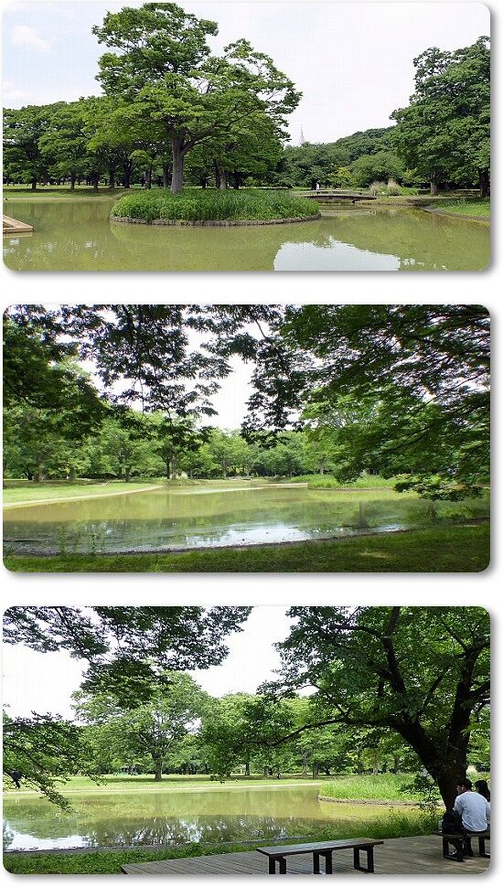 噴水池3