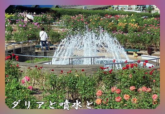 0題字