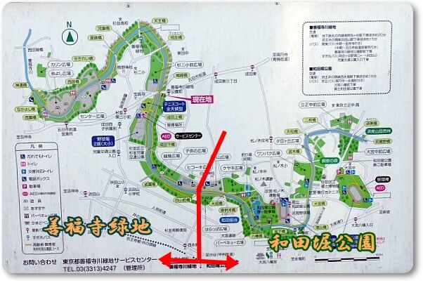 善福寺川