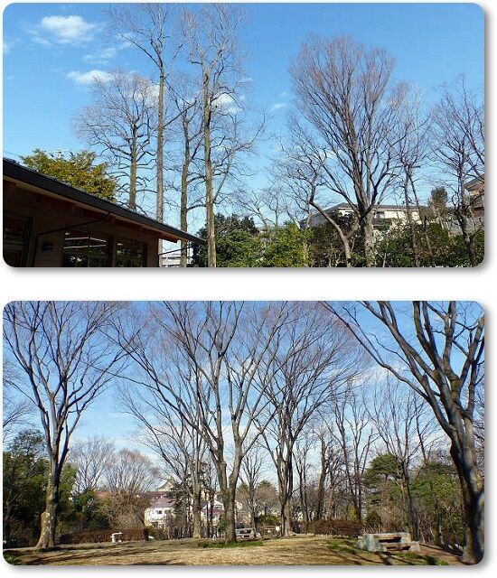 植物園入口
