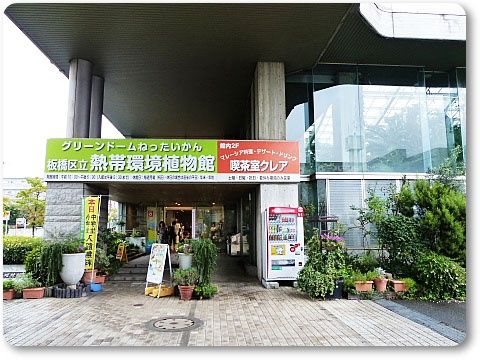イメージ 2