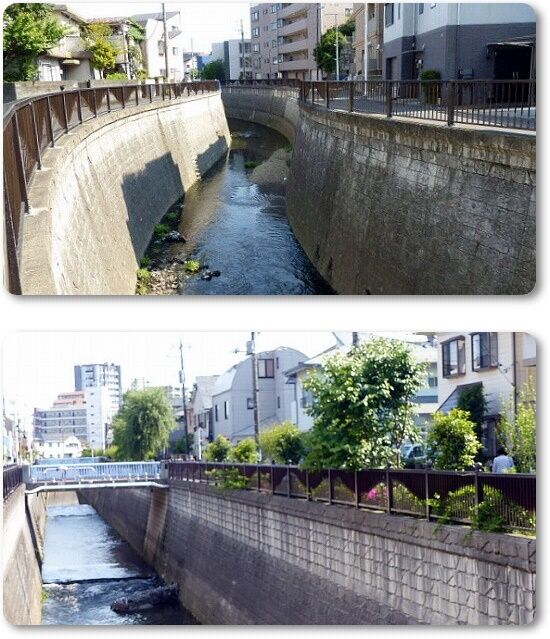 妙正寺川