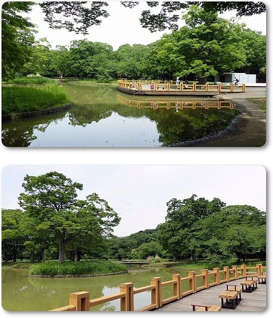 展望デッキ