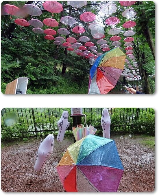 5撮影用傘