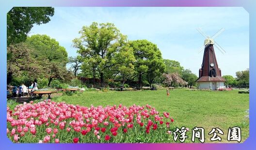 0題字