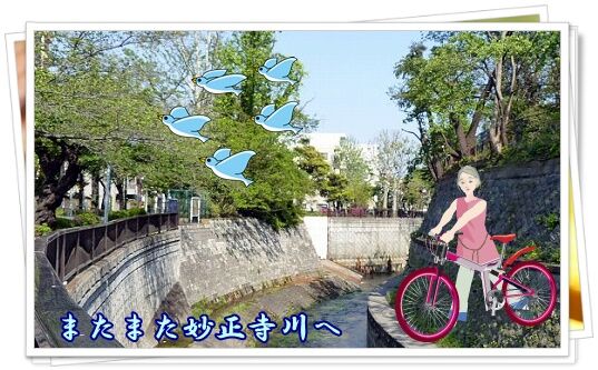 conv0049
