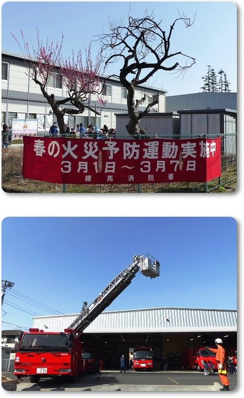 イメージ 5