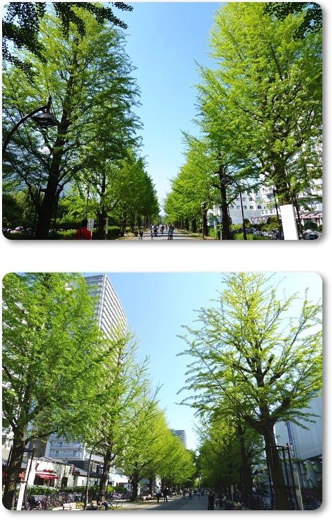 イメージ 8